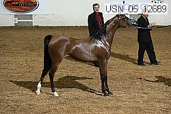 usn_05_12689 proof