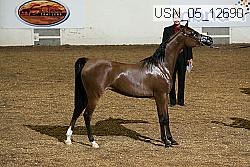 usn_05_12690 proof