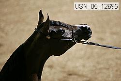usn_05_12695 proof