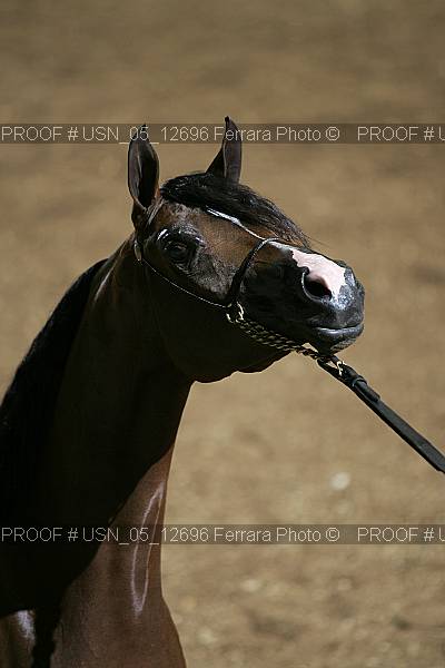 Proof usn_05_12696