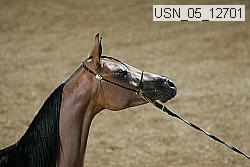 usn_05_12701 proof