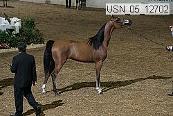 usn_05_12702 proof