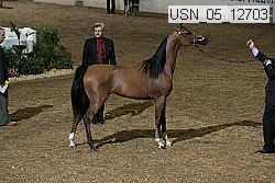 usn_05_12703 proof