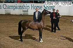 usn_05_12704 proof