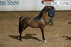 usn_05_12706 proof