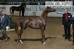 usn_05_12712 proof
