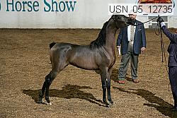 usn_05_12735 proof