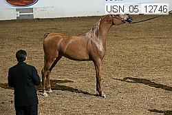 usn_05_12746 proof