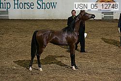 usn_05_12748 proof