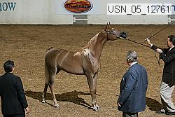 usn_05_12761 proof