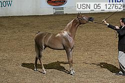 usn_05_12762 proof