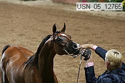 usn_05_12765 proof