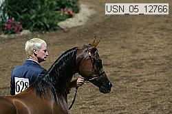 usn_05_12766 proof