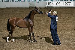usn_05_12771 proof