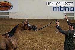 usn_05_12775 proof