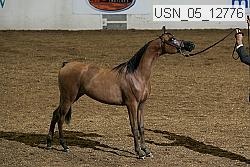 usn_05_12776 proof