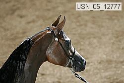 usn_05_12777 proof