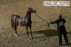 usn_05_12779 proof