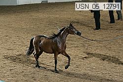 usn_05_12791 proof
