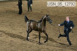 usn_05_12792 proof