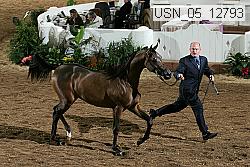usn_05_12793 proof