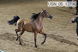 usn_05_12796 proof