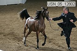 usn_05_12802 proof