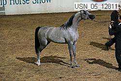 usn_05_12811 proof