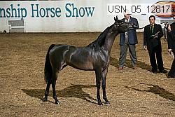 usn_05_12817 proof
