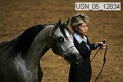 usn_05_12834 proof