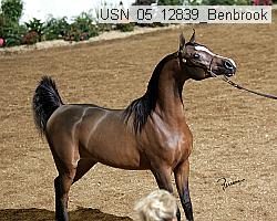 usn_05_12839_benbrook proof