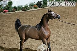 usn_05_12839 proof
