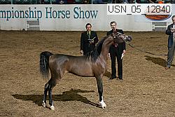 usn_05_12840 proof