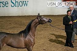 usn_05_12843 proof
