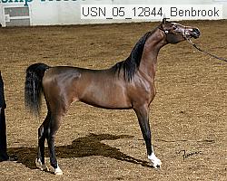 usn_05_12844_benbrook proof