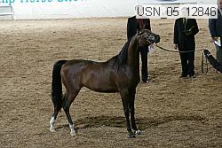 usn_05_12846 proof