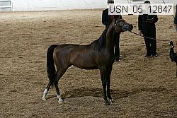 usn_05_12847 proof