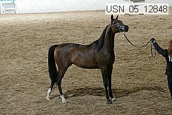 usn_05_12848 proof