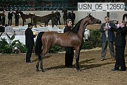usn_05_12850 proof