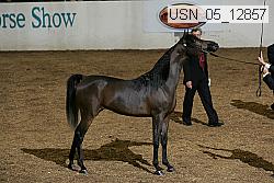 usn_05_12857 proof
