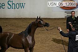 usn_05_12868 proof
