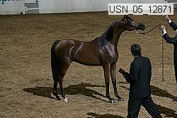 usn_05_12871 proof
