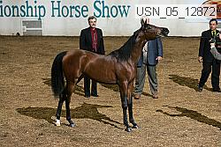 usn_05_12872 proof