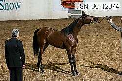 usn_05_12874 proof