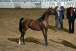 usn_05_12875 proof