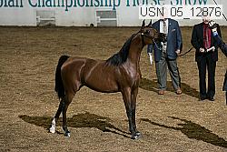 usn_05_12876 proof