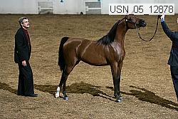 usn_05_12878 proof