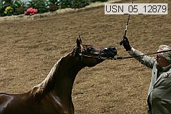 usn_05_12879 proof