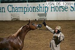usn_05_12881 proof