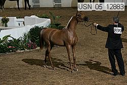 usn_05_12883 proof